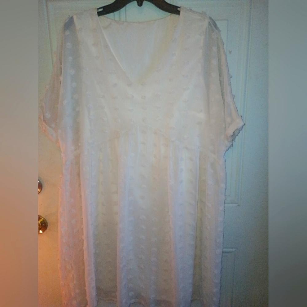 Women's Sheer Dress